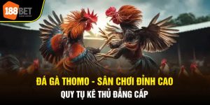 Đá Gà Thomo - Sân Chơi Đỉnh Cao, Quy Tụ Kê Thủ Đẳng Cấp