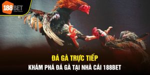 đá gà trực tiếp